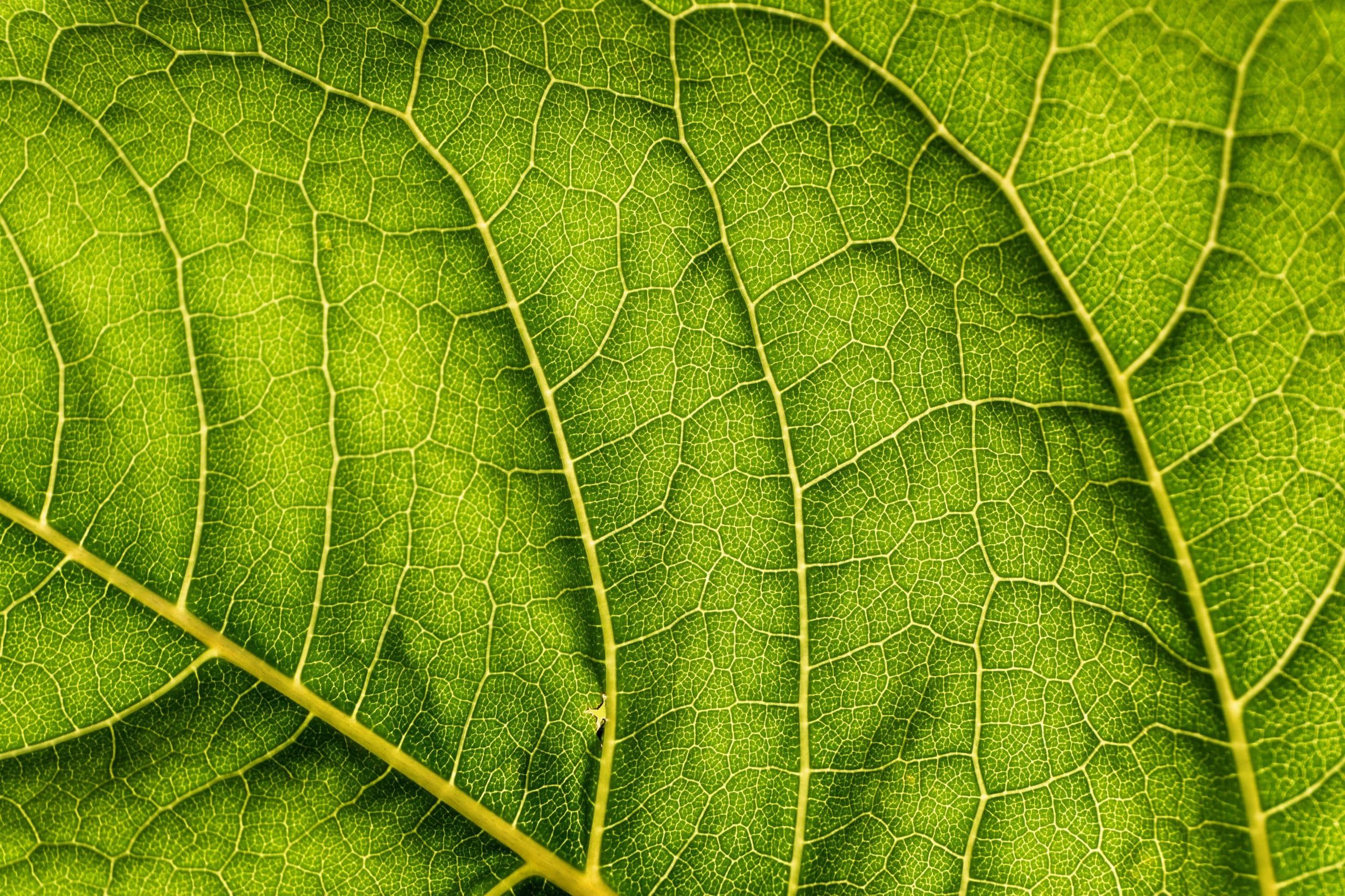 L’immobilier "plus vert" avec la signature électronique
